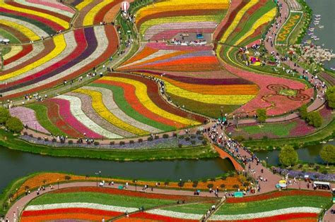 Colors Of Dafeng Holland Flower Park Abs Cbn News