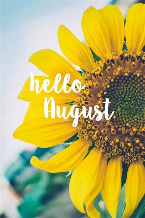 Hello August Images Pictures Quotes And Pics 2023 Hello August