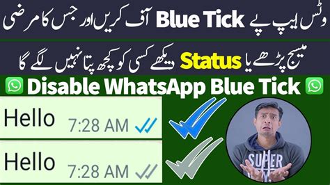 how to hide whatsapp blue tick whatsapp secret setting whatsapp hidden feature youtube