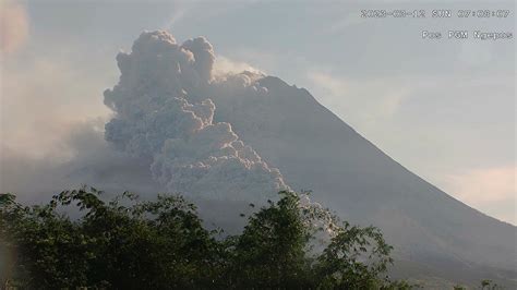Update Erupsi Gunung Merapi Hari Ini Guguran Sudah Sampai Di Area