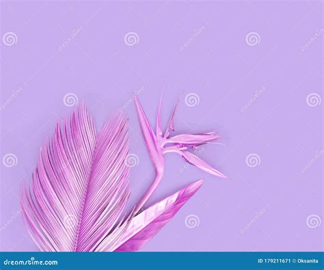 Purple Metallic Palm Leave With Golden Strelitzia Flower Stock Image