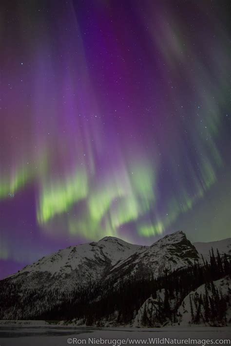 Northern Lights Brooks Range Alaska Photos By Ron Niebrugge