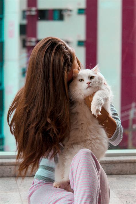 Download Cute Cat Love Snuggle Wallpaper