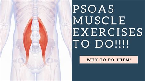 Best Psoas Muscle Exercises To Do To Strengthen And Stretch This Hip Flexor Muscle Youtube