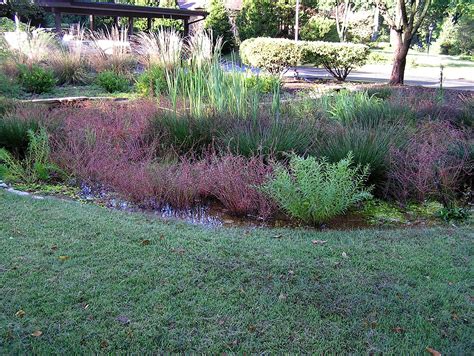 We did not find results for: Rain Gardens - Deer Creek Watershed Alliance