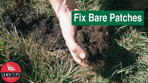How To Fix Bare Spots In Your Lawn Youtube