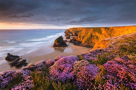 Coast Beach Flowers Sunset Sand Sea Cliff Clouds