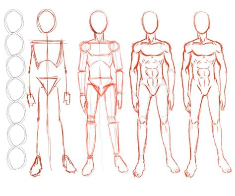 Construction Of Male Figure By Seandee21 On Deviantart Male Body