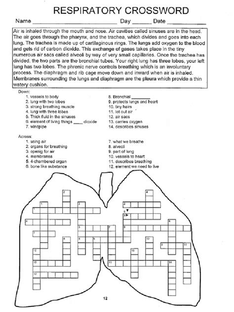 Crossword Puzzle Respiratory System Pdf