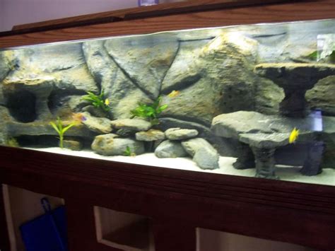How do you make a homemade aquarium filter? cement and drylok for things other than backgrounds ...