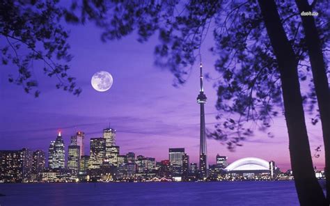 Toronto Skyline Wallpapers 4k Hd Toronto Skyline Backgrounds On