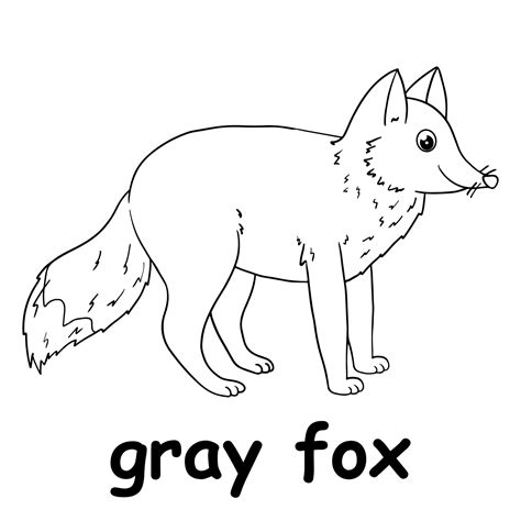 Kids Line Illustration Coloring Gray Fox Animal Outline 15630470
