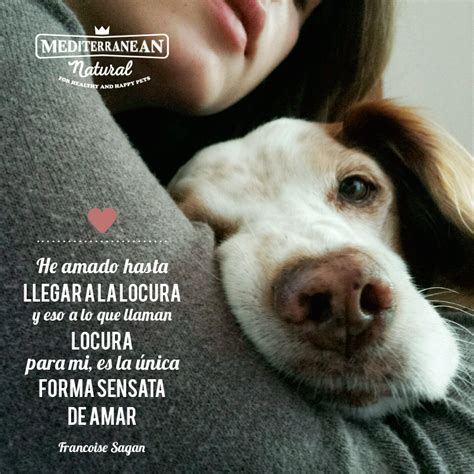 Home Slider Perros Frases Amor De Perro Mascotas Frases