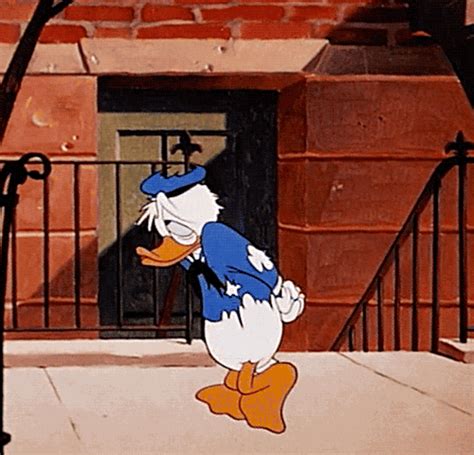 Donald Duck Animation  Find And Share On Giphy