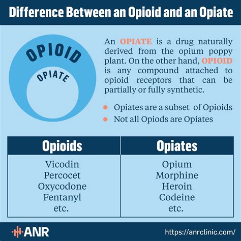 Opioid Vs Opiate Synthetic Pain Medicine Reviewed
