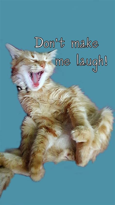 Me Laugh Cat Kitten Tabby Meow Mouth Open Funny Lol Kitty Dont