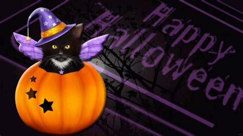 Cute Halloween Cats Wallpapers Top Free Cute Halloween Cats Backgrounds Wallpaperaccess