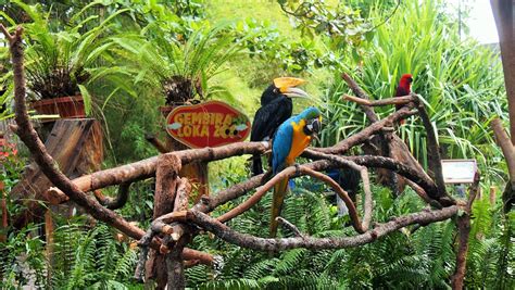 8 Best Zoos In Indonesia Authentic Indonesia