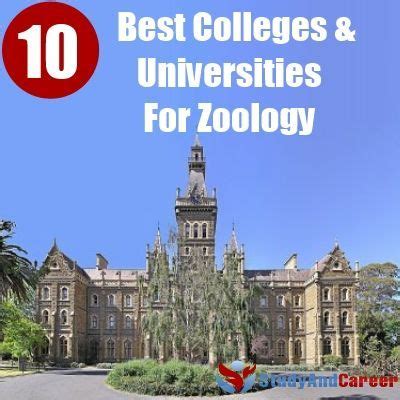 Best 10 Colleges And Universities For Zoology | Zoology, Zoology career