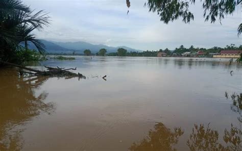 Sungai Ulim Meluap Ratusan Hektar Sawah Terendam