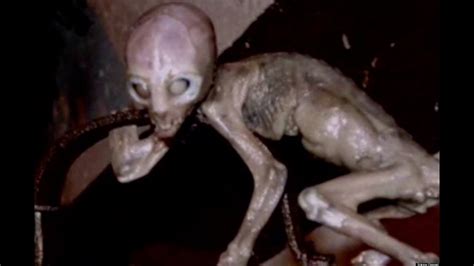 Aliens Filmados Aterrorizante Aliens Caught On Camera Youtube