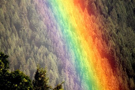 Rainbowmoodnatural Spectaclenatural Phenomenoncolor Free Image