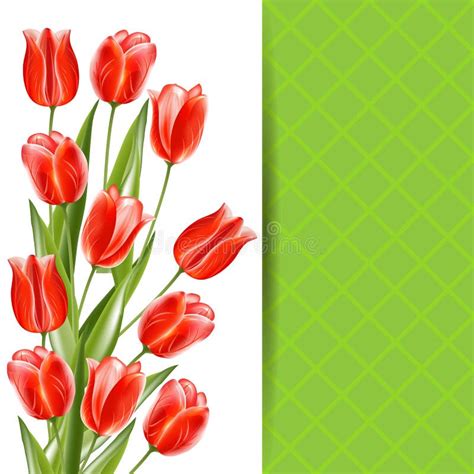 Glossy Tulip Icons Stock Vector Illustration Of Sign 7440242