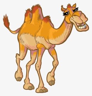 Funny memes and random pics to get you over the hump! Camels Kabubi Free On - Christmas Camels Clip Art , Free ...
