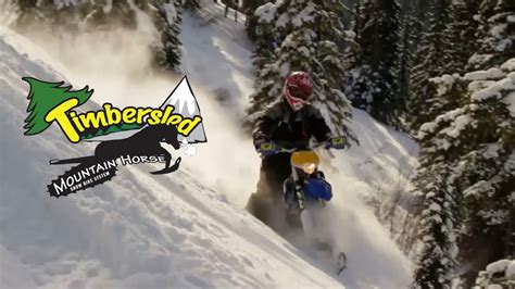 2015 Timbersled Mountain Horse Snow Bike System Info Youtube