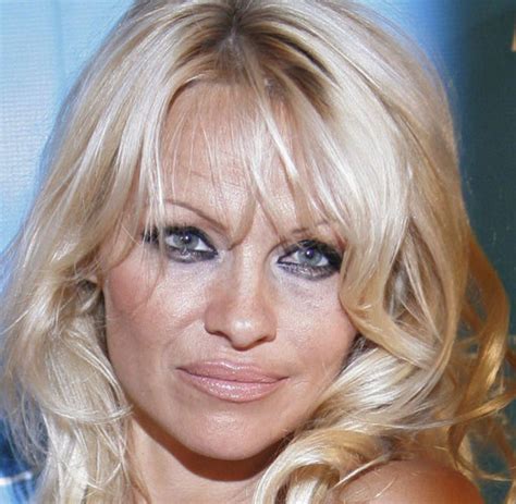 Pamela Anderson Welt