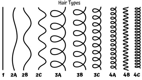 4a 4b 4c Hair Types Best Explanation In Details With