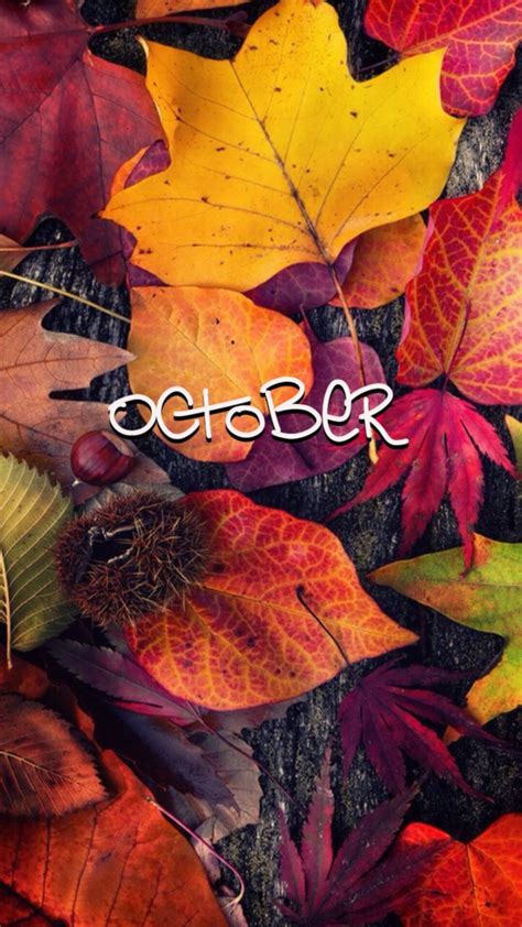 #october wallpaper #october wallpaper | Autumn phone wallpaper, Hello october, Fall wallpaper