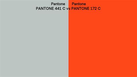 Pantone 441 C Vs Pantone 172 C Side By Side Comparison