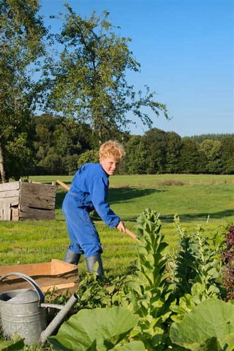 Leveling Vegetable Garden Beds — Vegetable Gardening News
