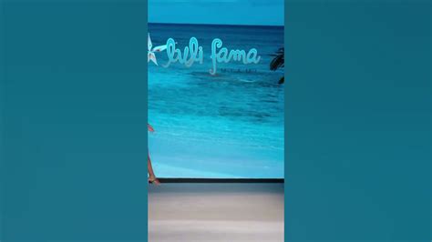 Priscilla Ricart Miami Swim Week 2023 Youtube