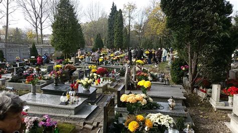 Lokatę i bez obowiązku gry w barażach awansowali do fortuna 1 ligi, wracając do niej. Katowice: Cmentarz w Panewnikach - ZDJĘCIA [Wszystkich ...