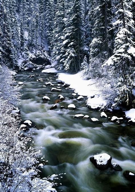 Whitecap Creek Ner Lilooet British Columbia Robert