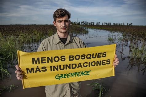 Fundación Greenpeace Argentina Inundaciones Por Desmonte Otra Vez