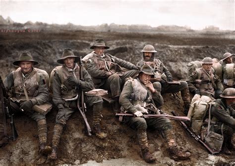 Anzac Aif Australian Diggers 1916 5th Australian Division Fromelles