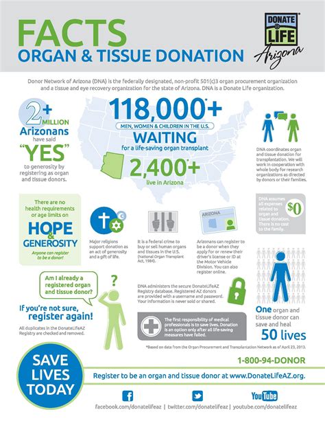 An Arizona Specific Infographic About Organ And Tissue Donation