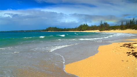 See The Most Beautiful Hawaii Beaches Photos From Our New