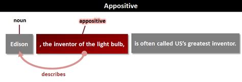 Appositive | What is an appositive?