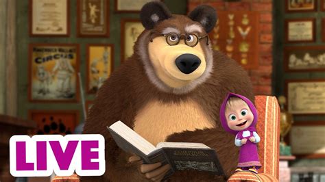 ماشا والدب 👱‍♀️ Live Stream 🌞 يوم سهل ☕ Masha And The Bear Youtube