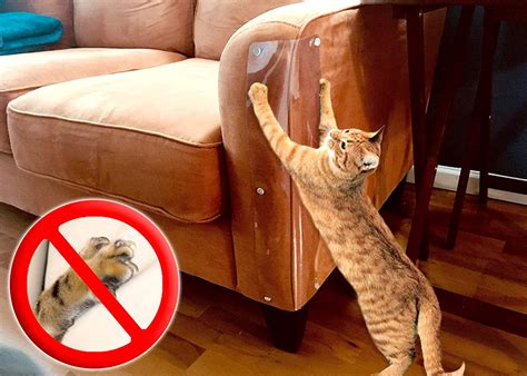 Alibaba.com offers 3,310 cat scratching sofa products. How To Keep Cats From Scratching Leather Furniture