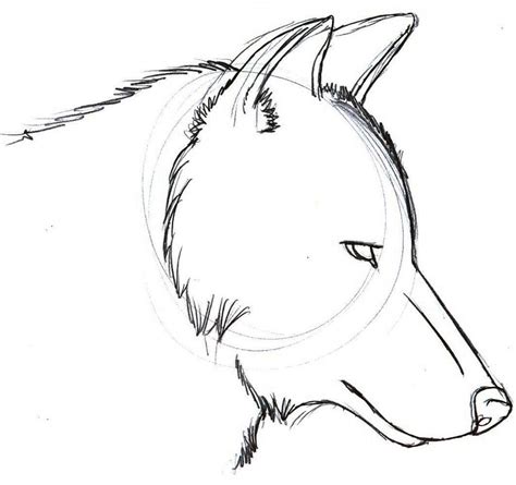 Check spelling or type a new query. 10+ Cool Wolf Drawing Ideas | HARUNMUDAK
