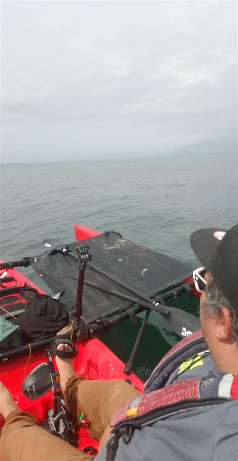 These experiences are best for kayaking & canoeing in san diego: Pin by Jaime Velasco on Kayak fishing San Diego by Jaime ...