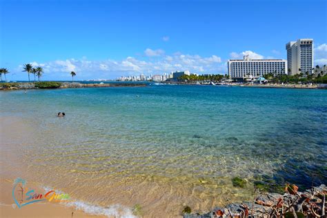 Cruise Excursions San Juan Puerto Rico Go Snorkeling With Sea
