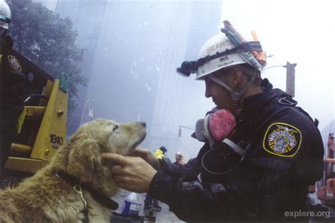 Today We Honor And Remember The Hero Dogs Of 911 Stand