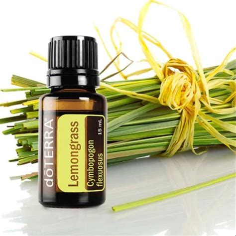 A highly favored oil for its lovely fragrance, bergamot is unique among citrus oils for its calming properties. doTERRA Lemongrass Essential Oil 15mL | Shopee Malaysia