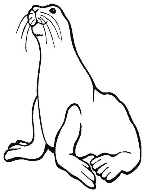 Free Animals Monk Seal Printable Coloring Pages For Preschool